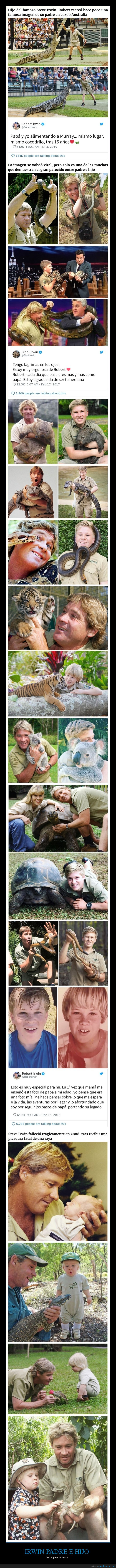 steve irwin,robert irwin,padre,hijo,comparativa